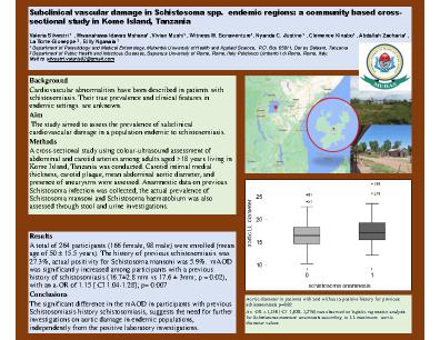 Poster 13