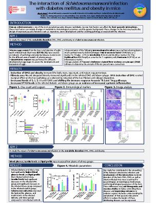 Poster 3