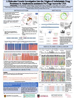 Poster 9