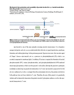 Poster 8