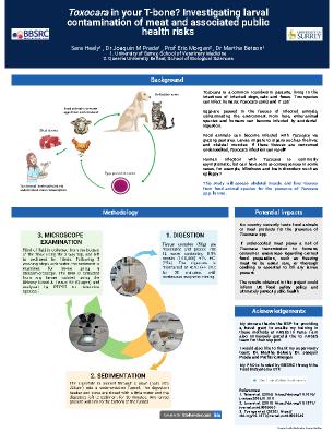 Poster 11