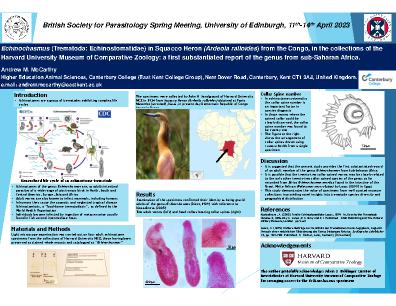 Poster 15