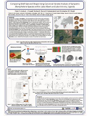 Poster 20