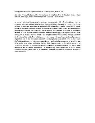 Poster 26