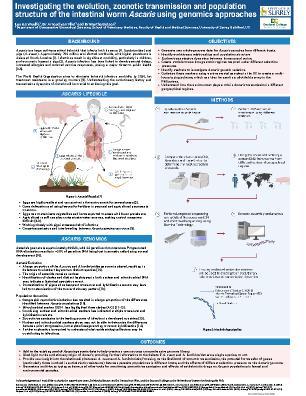 Poster 33