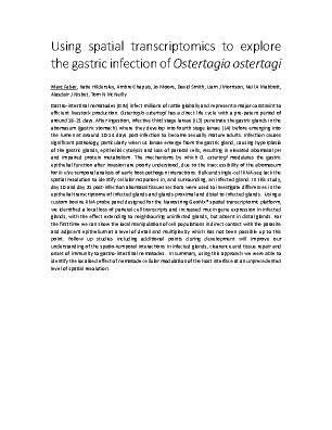 Poster 91