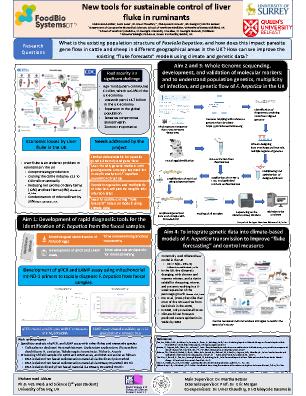 Poster 34