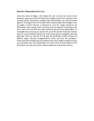 Poster 21
