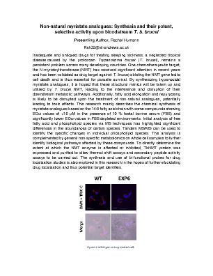 Poster 95