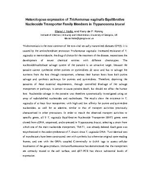 Poster 33