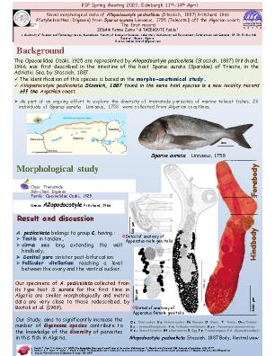 Poster 205
