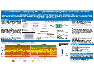 Poster 19