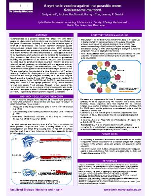 Poster 35
