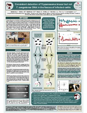 Poster 191