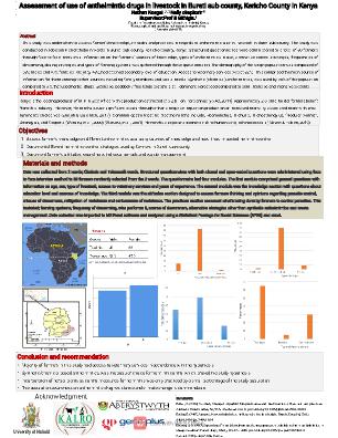 Poster 7
